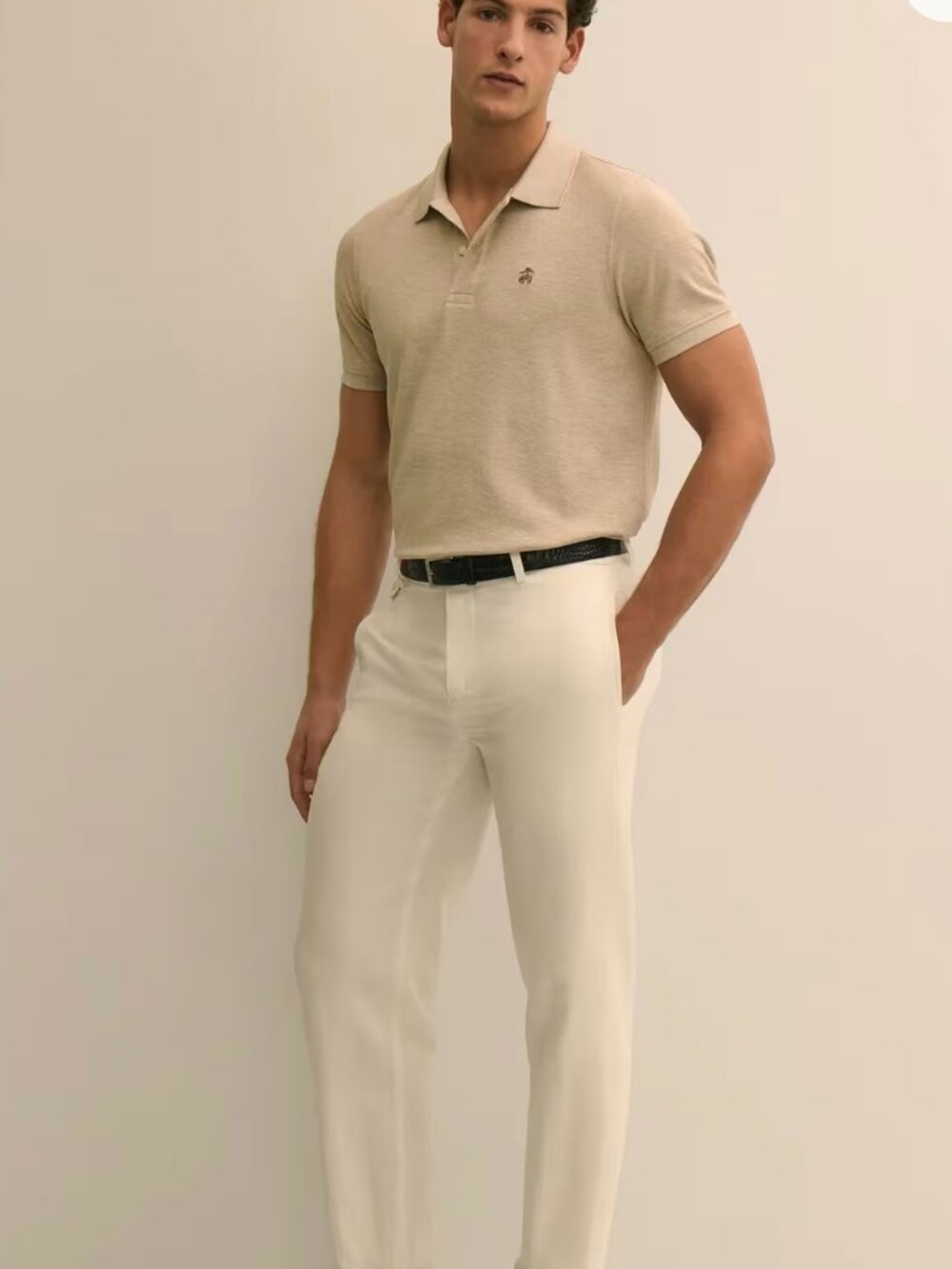 Brooks Brothers Beige Men's 36x30 Beige Irish Linen Pleated Pants
